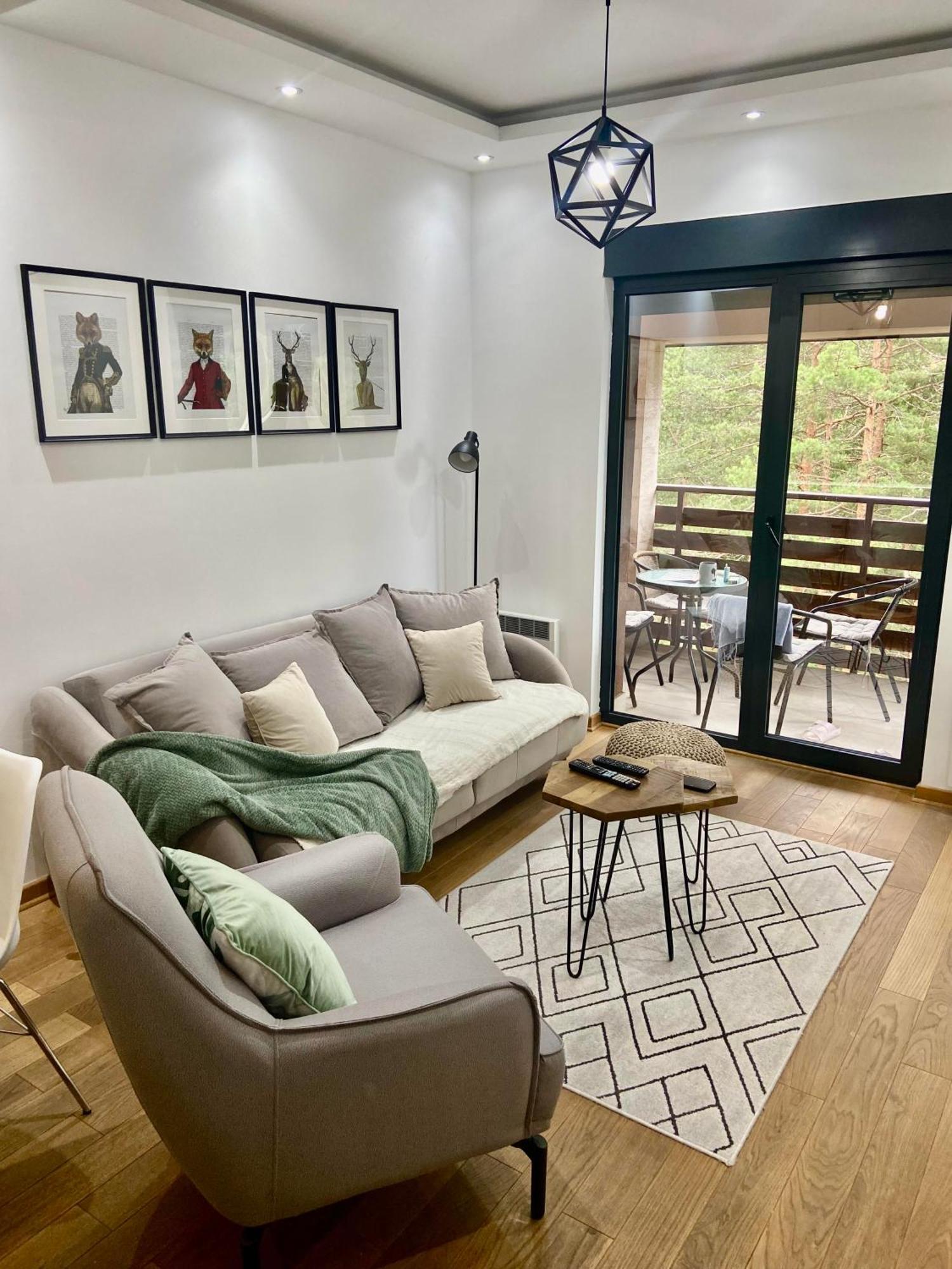 Apartment Pino Bianco 2 - Vila Pekovic Ζλάτιμπορ Εξωτερικό φωτογραφία